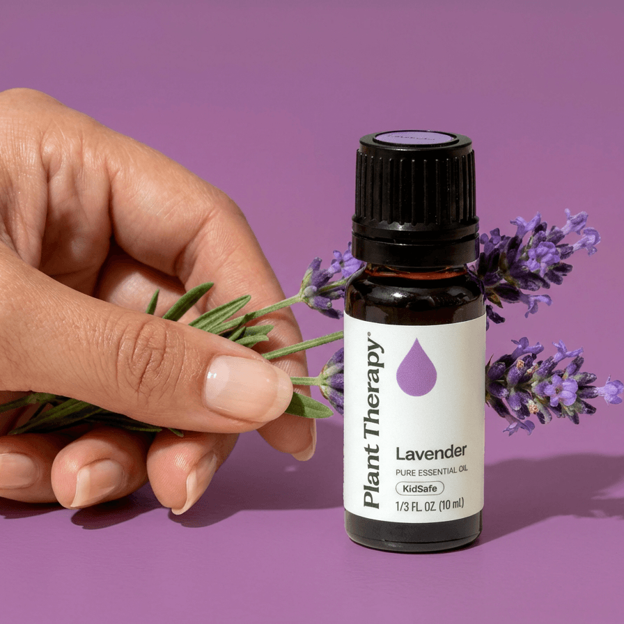 Beauty & Wellness